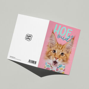 Leuke verjaardagskaart met kat
