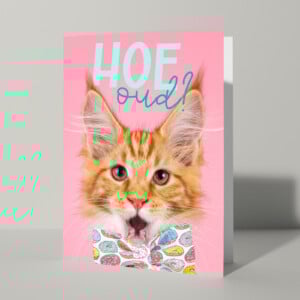 Leuke verjaardagskaart met kat