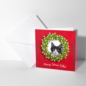 Merry Catmas kerstkaart