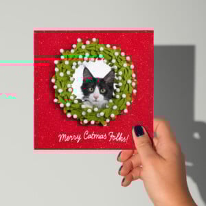 Merry Catmas kerstkaart