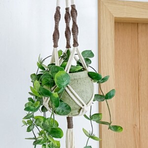 Mini DIY macramé plantenhanger