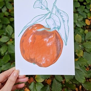 Sinaasappel A5 Print, Pen en Potlood Tekening