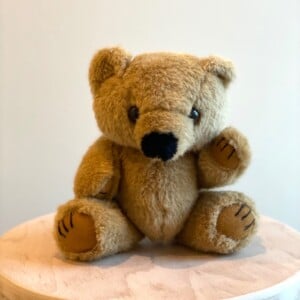 Pre-Loved knuffelbeer Pickles, teddybeer, knuffel