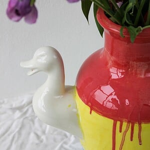 Blue duck