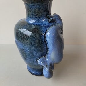 Blue duck