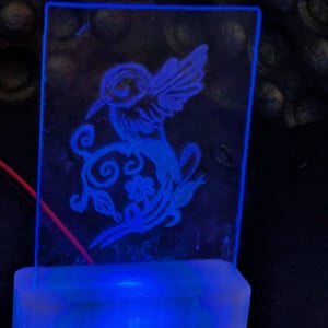 Handgegraveerd LED-lichtje – Trots vogeltje in bloemenkrul – Verwisselbaar glas met RGB licht