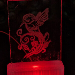 Handgegraveerd LED-lichtje – Trots vogeltje in bloemenkrul – Verwisselbaar glas met RGB licht