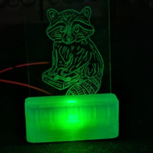 Handgegraveerd glas LED‑lichtje – Wasbeer motief – 3D‑geprinte stolp met RGB LED, Sfeerverlichting, handgemaakt glas decor
