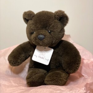 Pre-Loved knuffel Mocca teddybeer knuffeldier