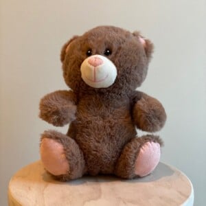 Pre-Loved knuffel Nomi teddybeer knuffelbeer