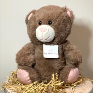 Pre-Loved knuffel Nomi teddybeer knuffelbeer