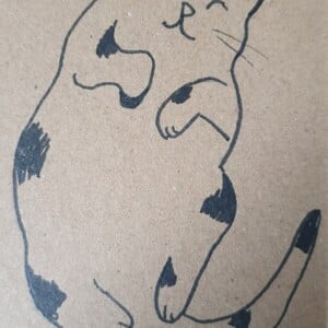 dagboek met kat op zijn rug,  gelinieerd, met originele kattentekening (geen print), opschrijfboekje