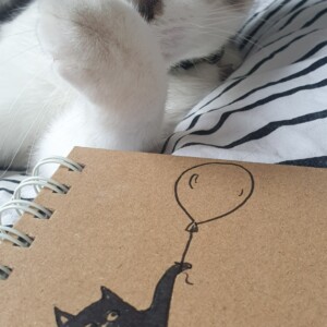 handgemaakt dagboek notitieboekje kat aan ballon gelinieerd, met originele kattentekening (geen print)