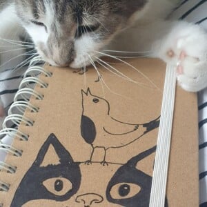 handgemaakt dagboek notitieboekje, kat met vogel gelinieerd, met originele kattentekening (geen print)