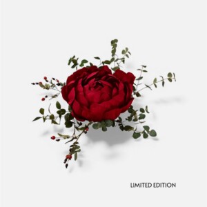 Handgemaakte  XXL ROOS - Limited edition-