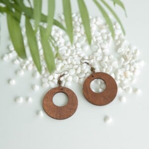 Houten oorbellen bruin/brons