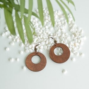 Houten oorbellen bruin/brons