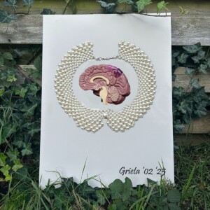 Jouw Sier”raad” dat Horus heet