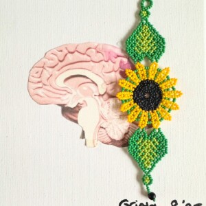 Jouw Sier”raad” dat Horus heet