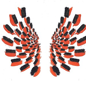 Kunst print, Eco materiaal, Handgemaakt, Uniek stuk! = Earned to Fly (canvas, 90x90)