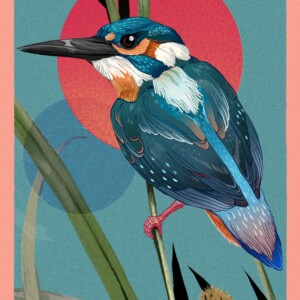 Kunstprint van ijsvogel, Illustratie wanddecoratie op mat fine-art papier