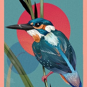 Kunstprint van ijsvogel, Illustratie wanddecoratie op mat fine-art papier