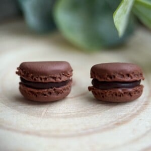 Oorknopjes macaron chocolade