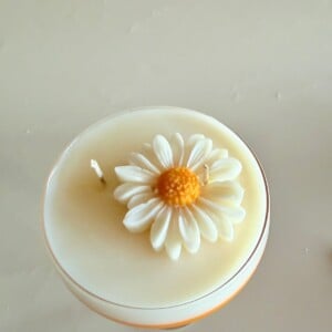 Passievrucht Martini geurkaars