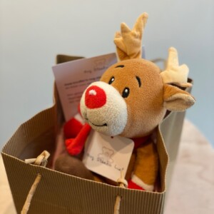 Pre-Loved knuffel Ruudje rendier knuffeldier