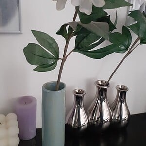 Gepersonaliseerd voor planten en bloemen