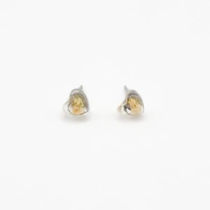 Hartvormige Mini Knopjes met Echt Gipskruid (The Classics)