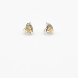 Hartvormige Mini Knopjes met Echt Gipskruid (The Classics)