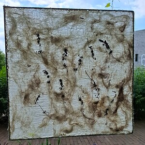 Lichtvanger van de Natuur – Transparante Wand- & Raamdecoratie