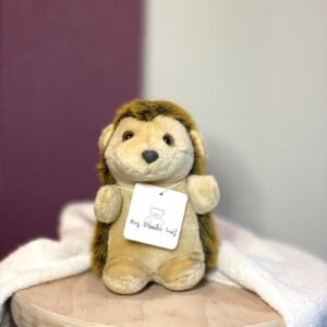 Pre-Loved knuffel Stekel knuffelbeer egel