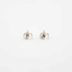 Rechthoekige Mini Knopjes met Echt Gipskruid (The Classics)