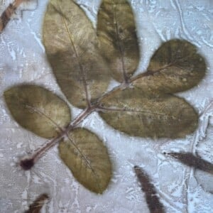 Zijden sjaal walnoot