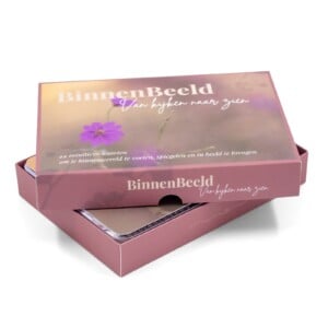 BinnenBeeld Compleet - Inspiratiekaarten & Journal
