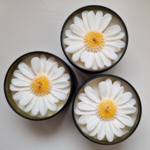 Blikkaars - Madeliefje