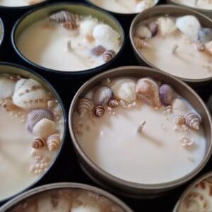 Blikkaars - Vitamin Sea