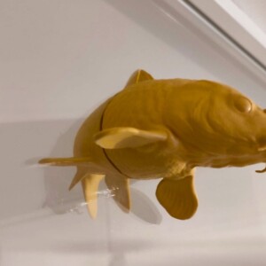 Golden Koi fish window art