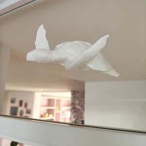 Magnetische schildpad raamdecoratie