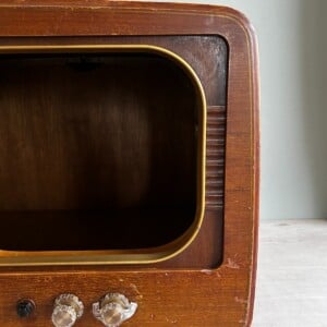 Retro kattenmand / hondenmand Philips TV