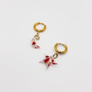 Schattige Maan en Ster Oorbellen Gevuld met Echte Bloemen uit Den Haag (Mon Chéri)