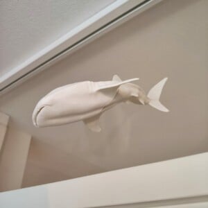 Whaleshark window art - White