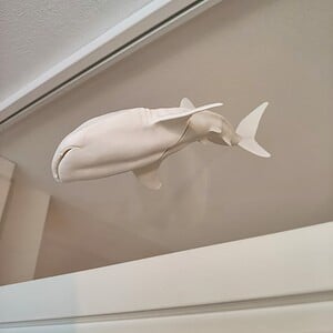 Whaleshark window art - White