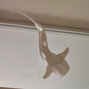 Whaleshark window art - White