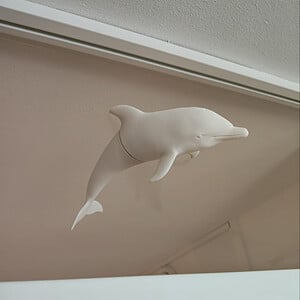 Dolphin window art - White