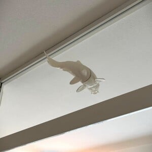 Witte Koi vis magnetische
