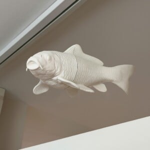 Witte Koi vis magnetische