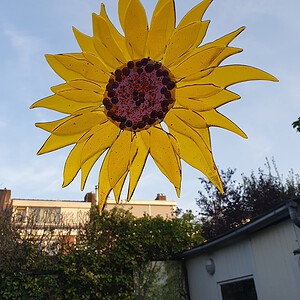 Zonnebloem raamhanger van glas